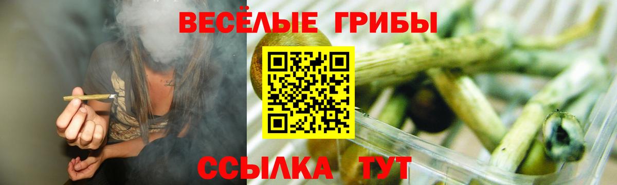 Галлюциногенные грибы ЛСД  Псилоцибиновые грибы мухоморы  Вход с VPN  Саранск 